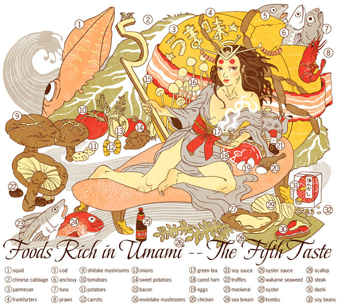 Umami, the fifth taste food illustration